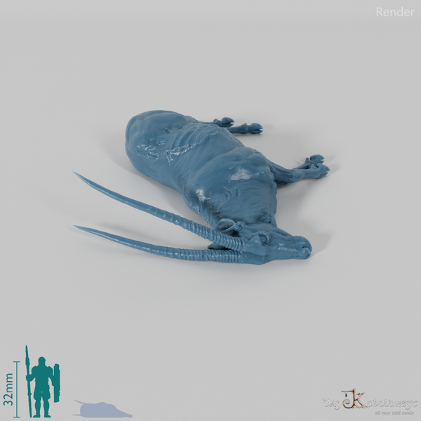 Antilope - Spießbock 05 - Kadaver