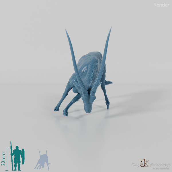 Antilope - Spießbock 03