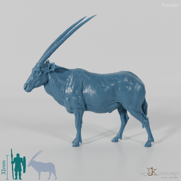 Antilope - Spießbock 01