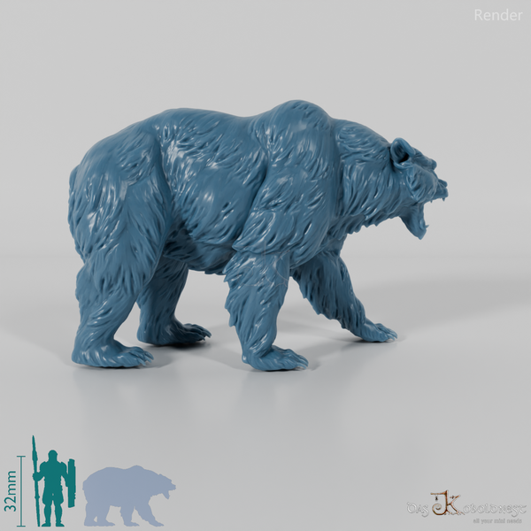Bär - Grizzlybär 01