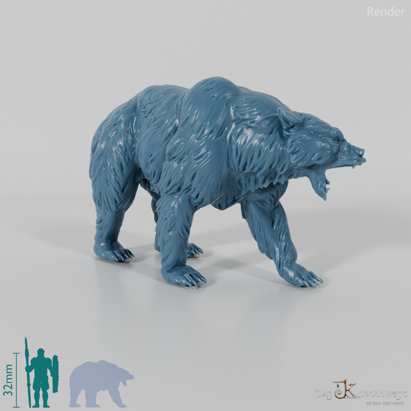 Bär - Grizzlybär 01