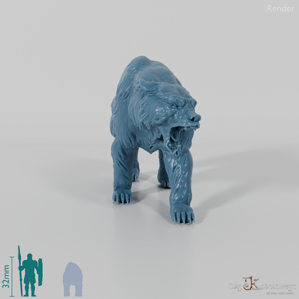 Bär - Grizzlybär 01