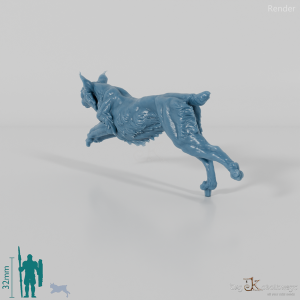 Luchs - Pardelluchs 02