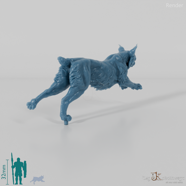 Luchs - Pardelluchs 02