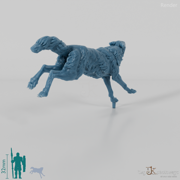 Wolf - Iberischer Wolf 01