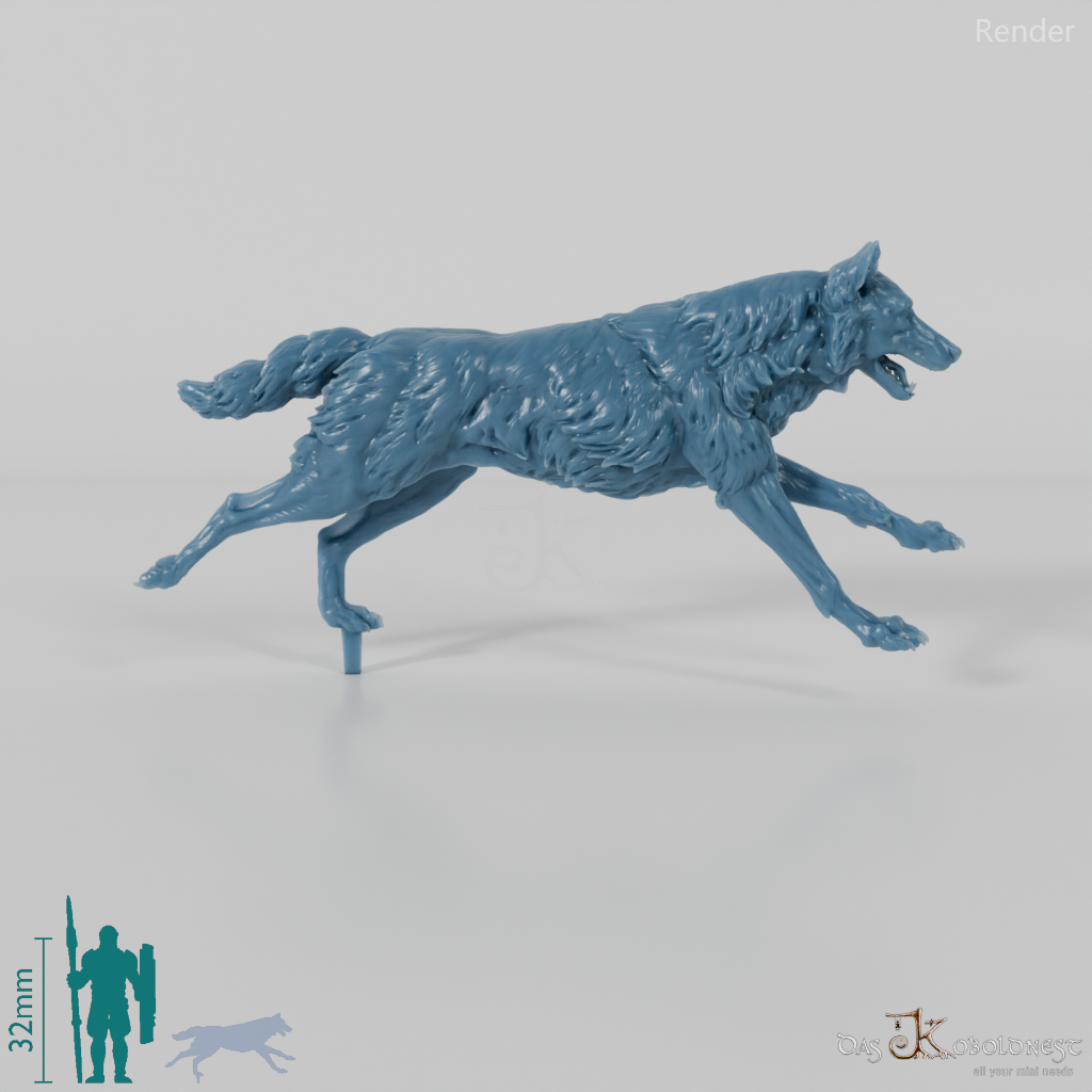 Wolf - Iberischer Wolf 02