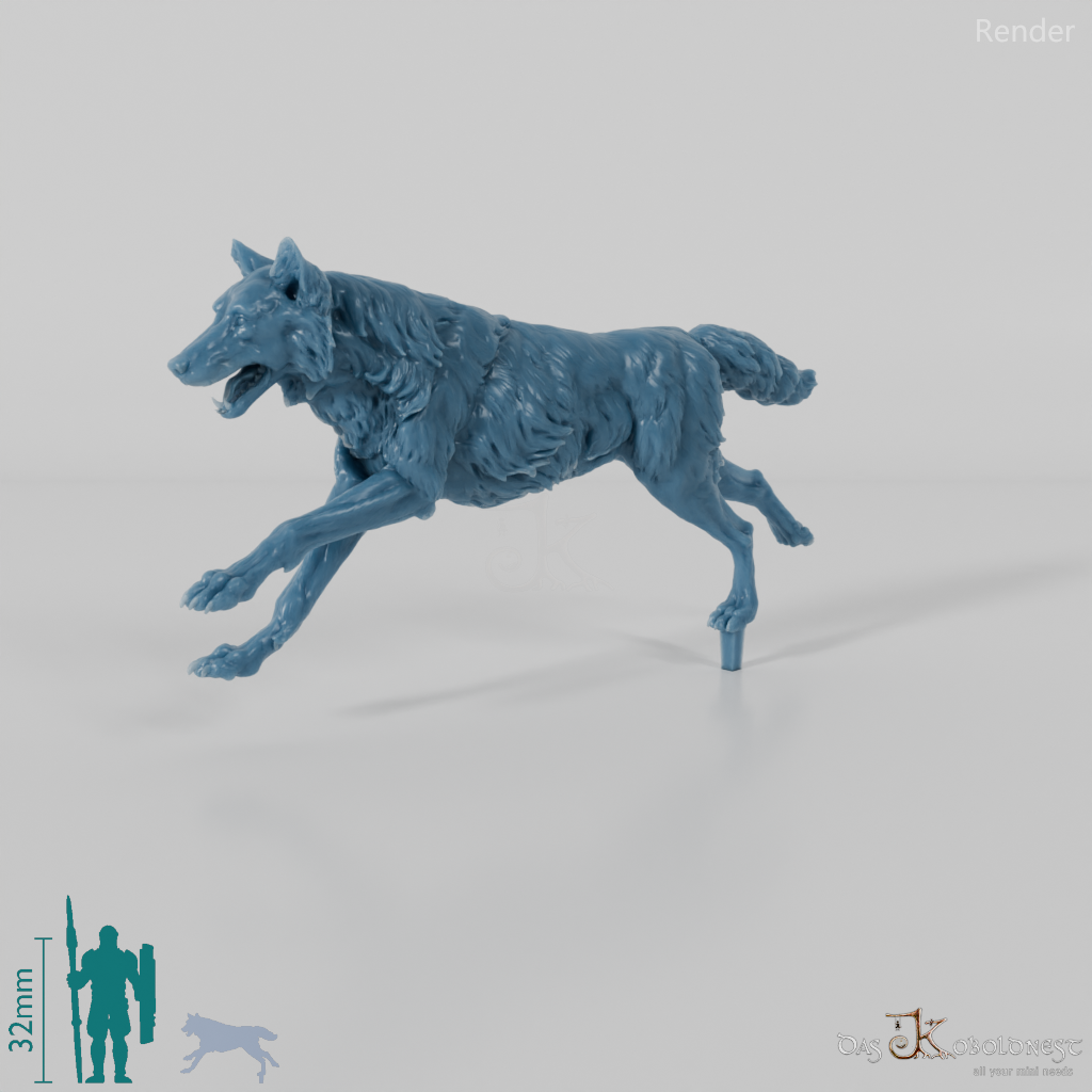 Wolf - Iberischer Wolf 02