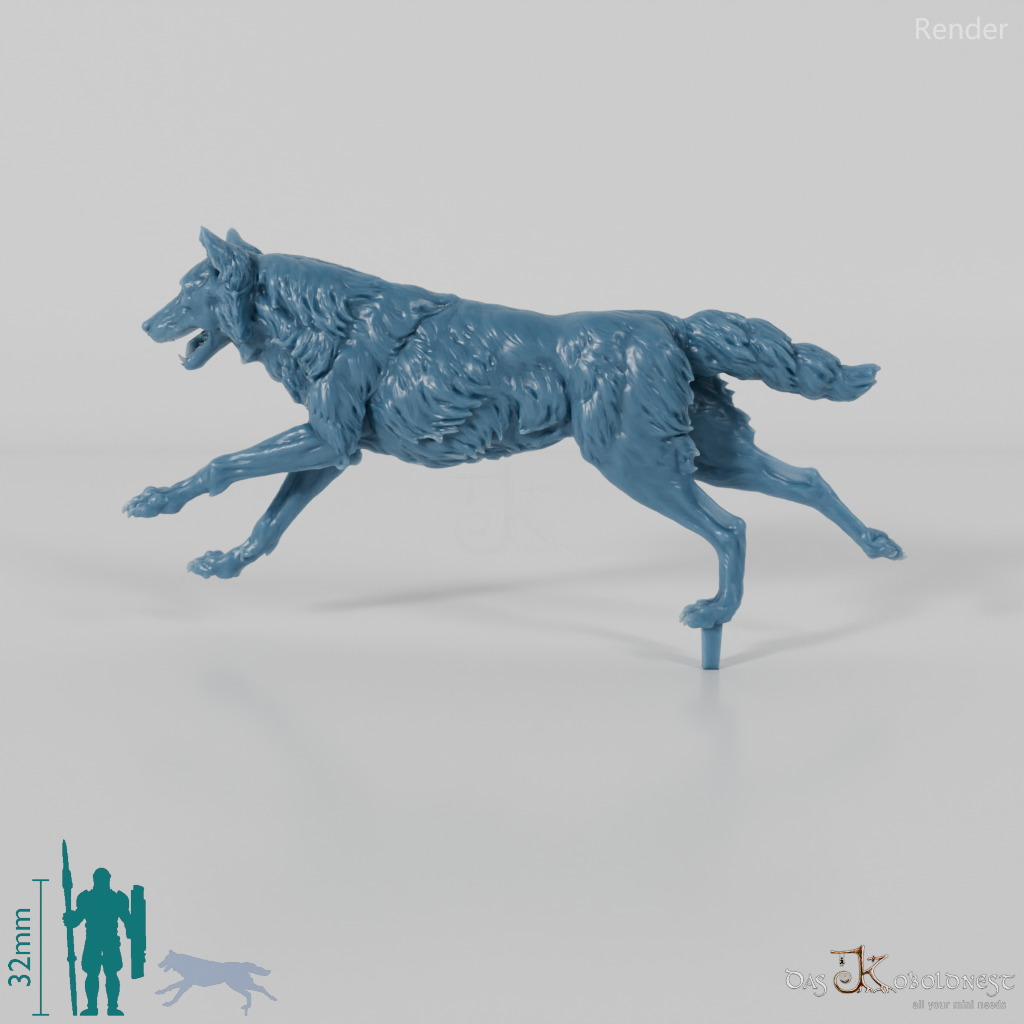 Wolf - Iberischer Wolf 02