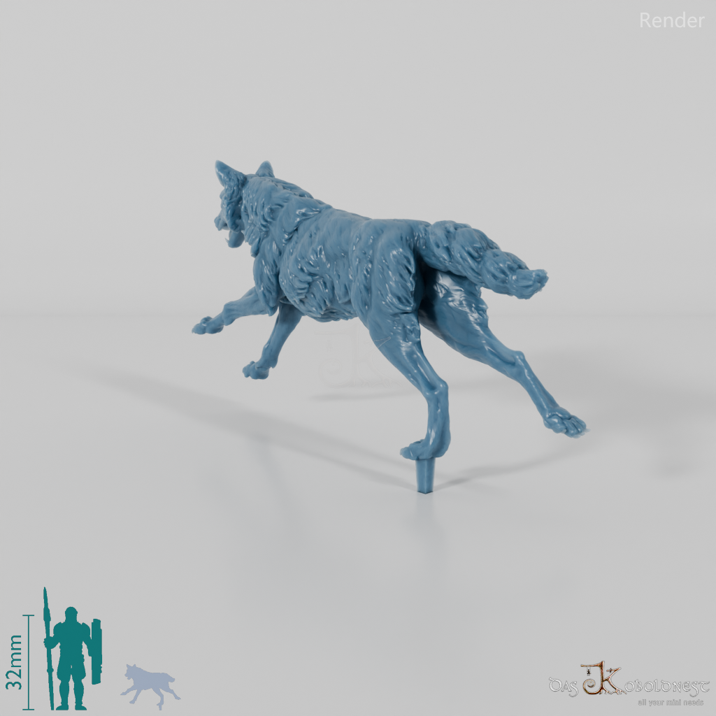 Wolf - Iberischer Wolf 02