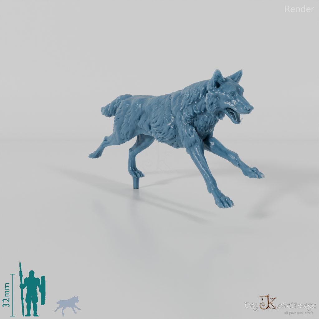 Wolf - Iberischer Wolf 02