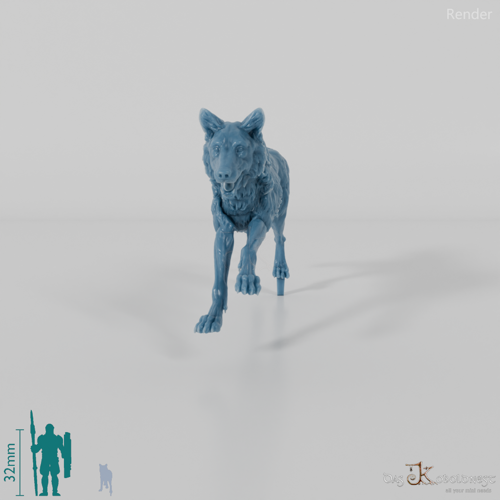 Wolf - Iberischer Wolf 02