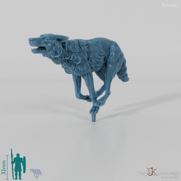 Wolf - Iberischer Wolf 03