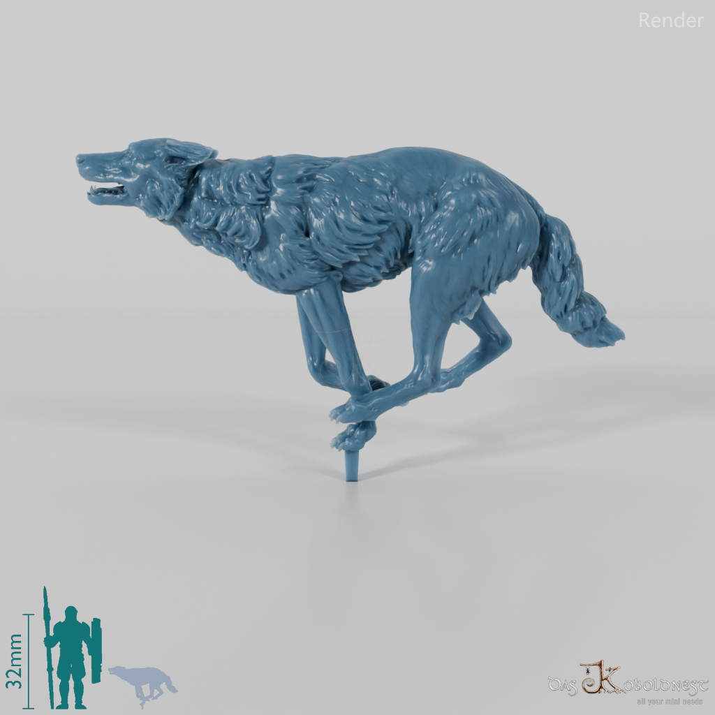 Wolf - Iberischer Wolf 03