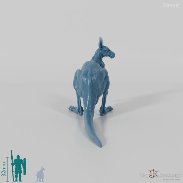 Känguru - Rotes Riesenkänguru - Weibchen 02