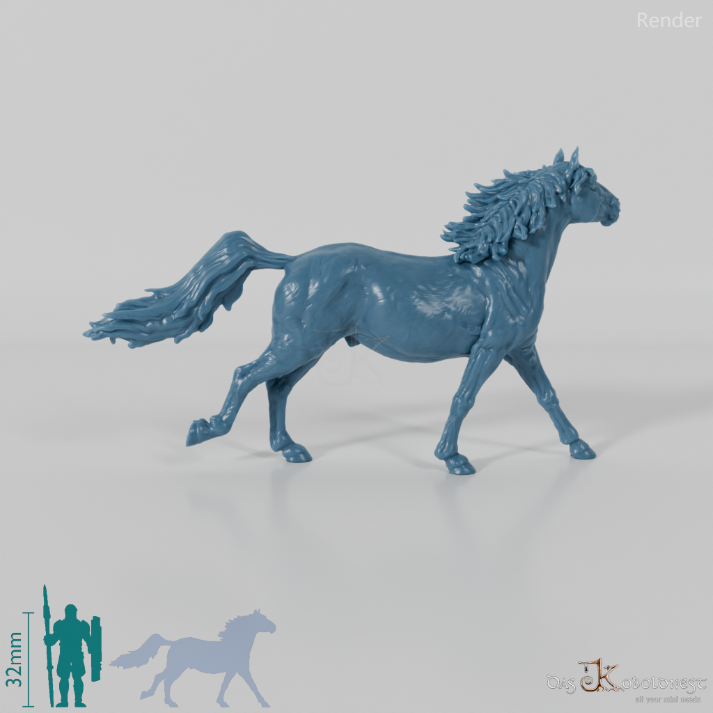 Pferd - Konik 02