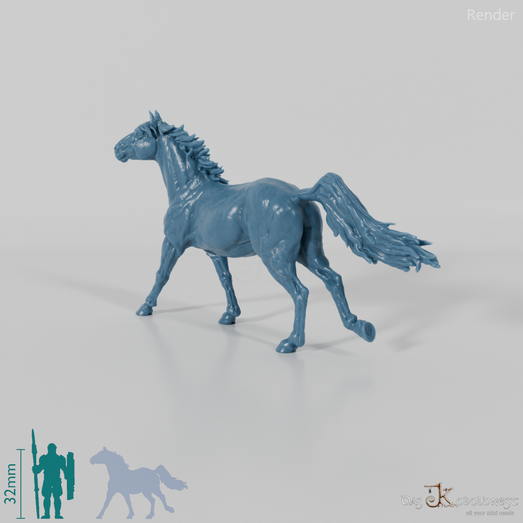 Pferd - Konik 02