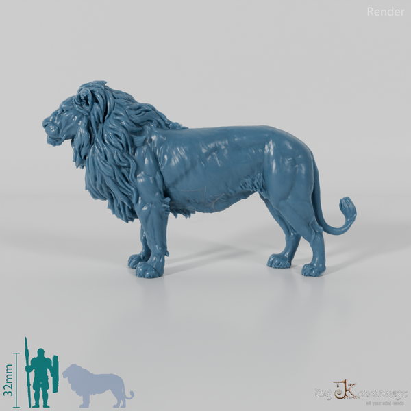 Raubkatze - Löwe 02