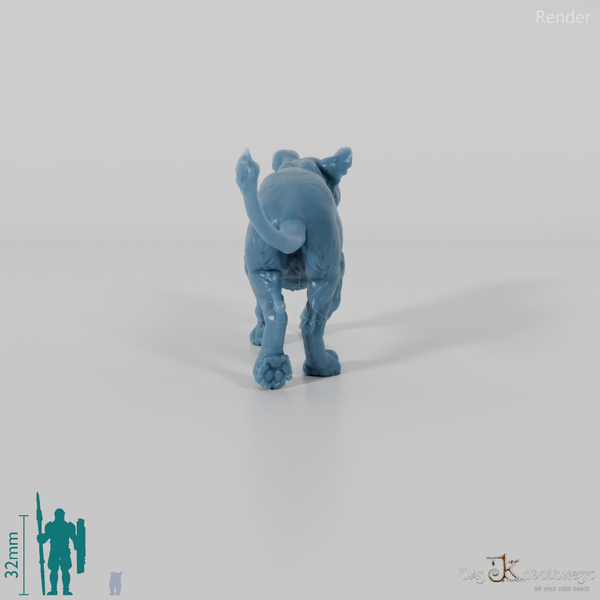 Raubkatze - Löwenjungtier 01