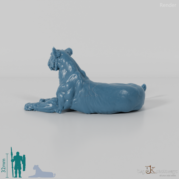 Raubkatze - Löwin 02