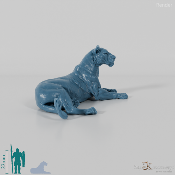 Raubkatze - Löwin 02