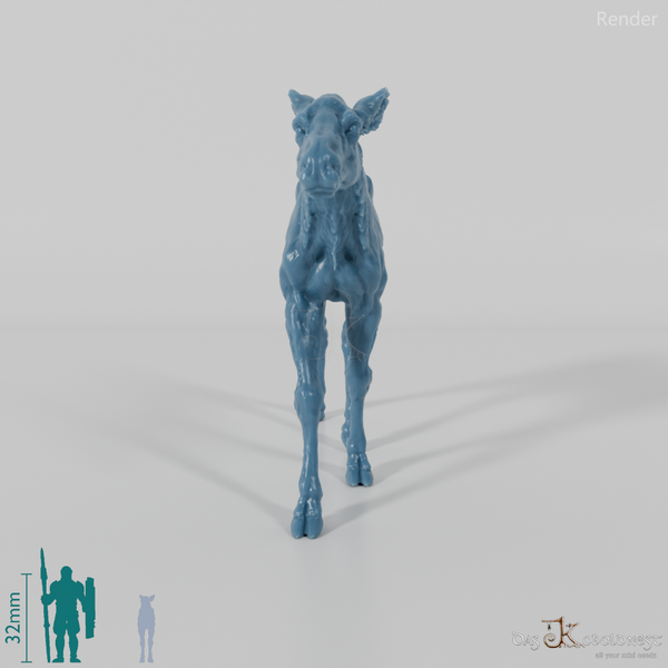 Hirsch - Elch - Kalb 01