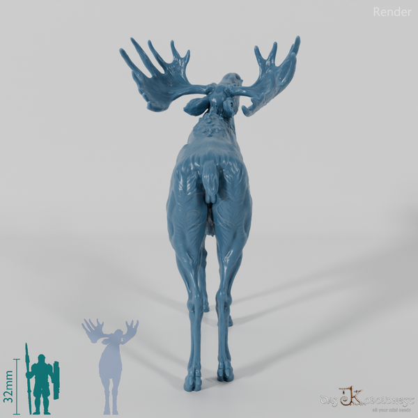 Hirsch - Elch - Bulle 05