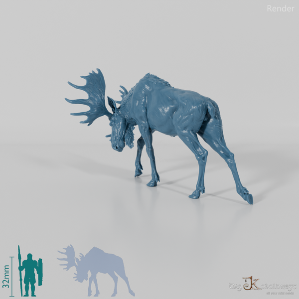 Hirsch - Elch - Bulle 04