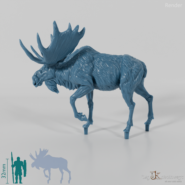 Hirsch - Elch - Bulle 02