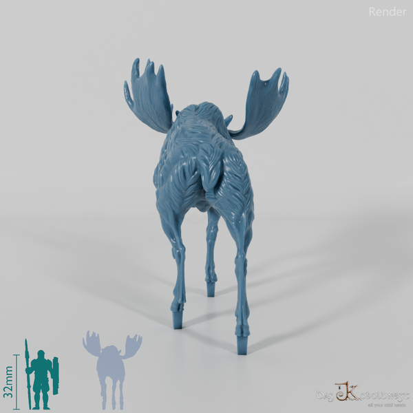 Hirsch - Elch - Bulle 02