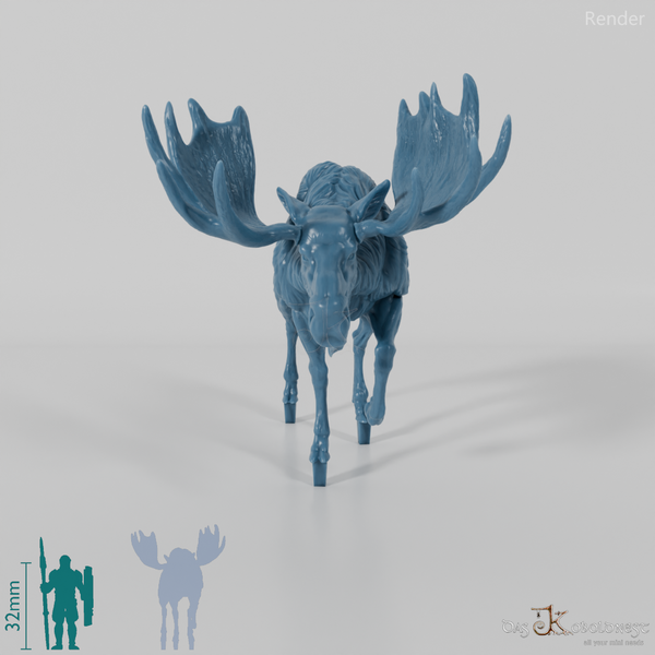 Hirsch - Elch - Bulle 02