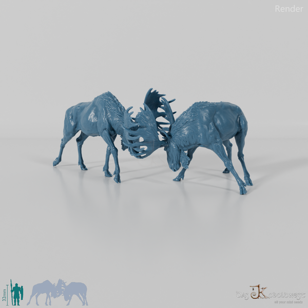 Hirsch - Elch - Kämpfende Bullen