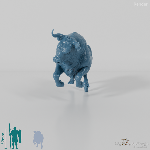 Rind - North Devon Bulle 02