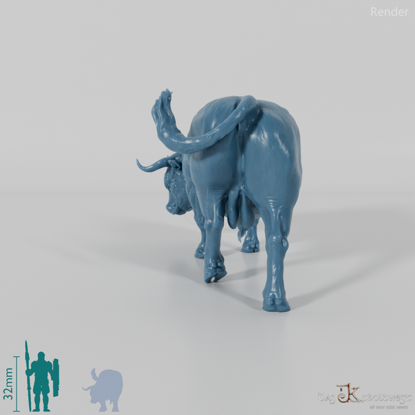 Rind - North Devon Bulle 03