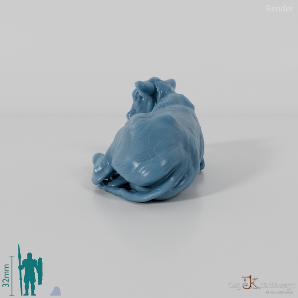 Rind - North Devon Kalb 01