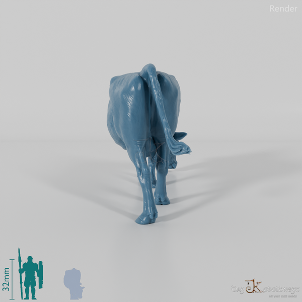 Rind - North Devon Kuh 01