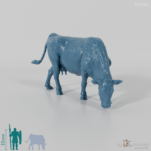 Rind - North Devon Kuh 01