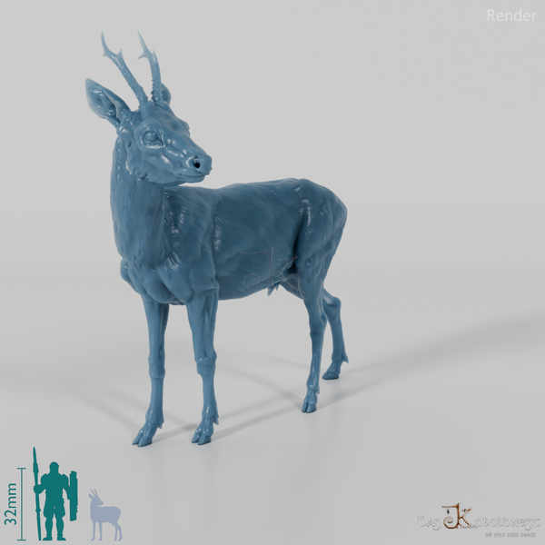 Hirsch - Europäisches Reh - Bock 01