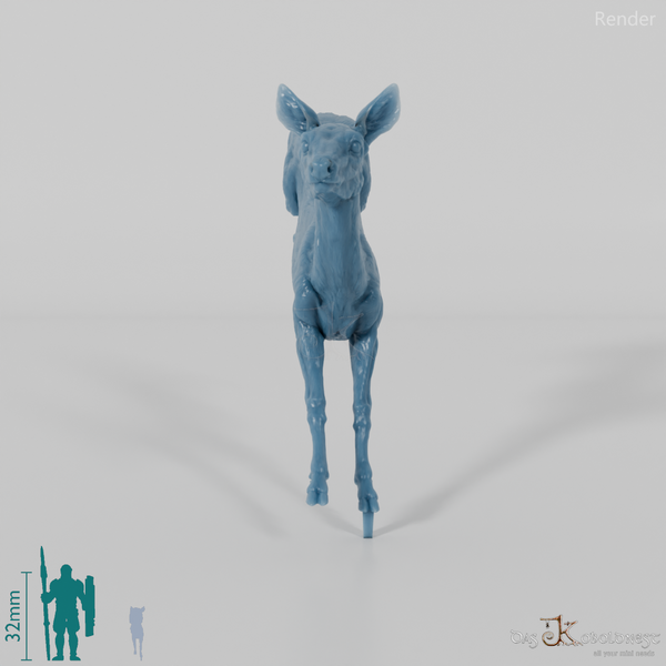 Hirsch - Europäisches Reh - Ricke 02