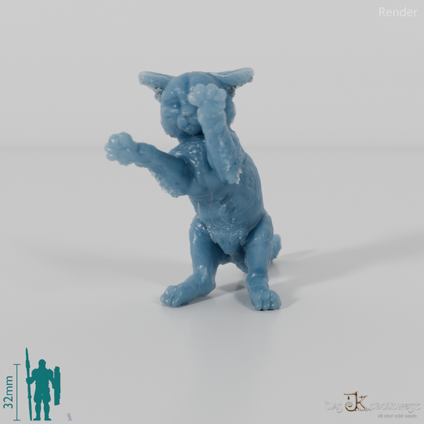 Katze - Europäische Wildkatze - Jungtier 02