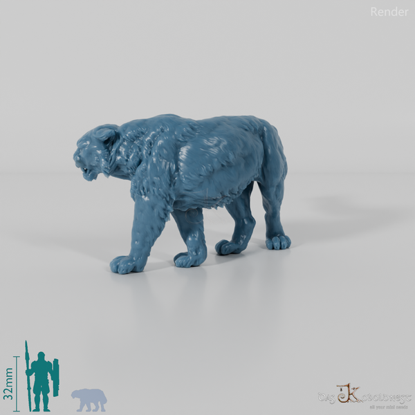 Raubkatze - Schneeleopard 01