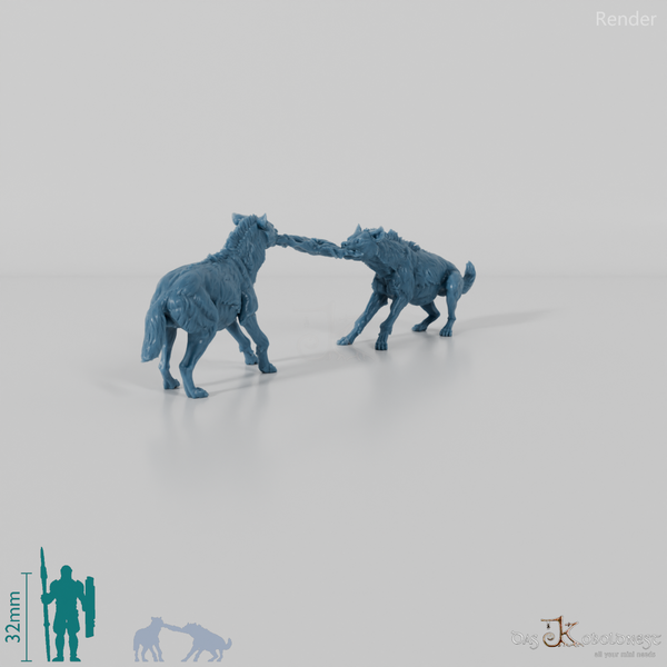 Hyäne - Streitende Tüpfelhyänen