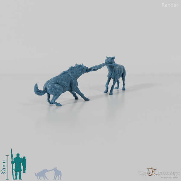 Hyäne - Streitende Tüpfelhyänen