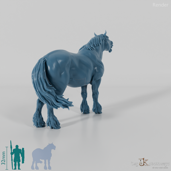 Pferd - Suffolk Punch 02