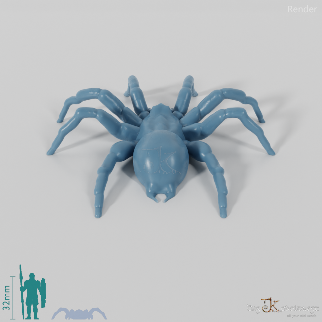 Spinne - Riesentarantel 01