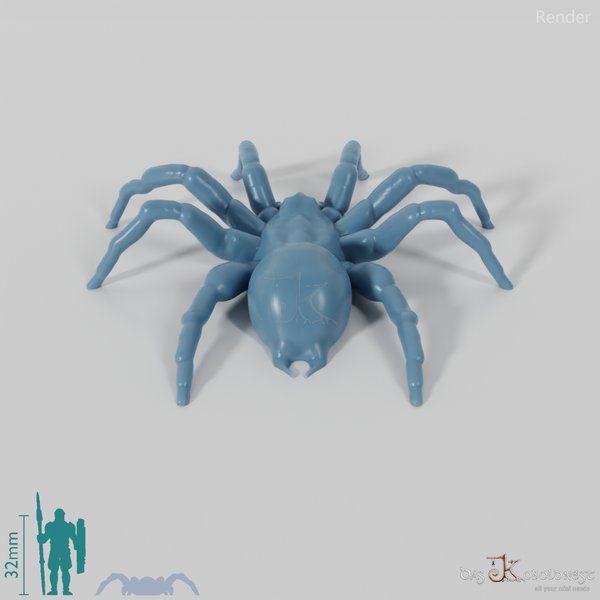Spinne - Riesentarantel 01