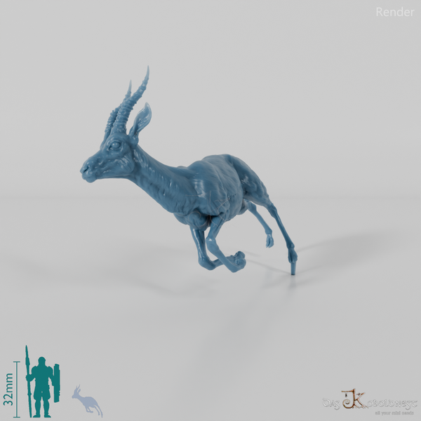 Antilope - Thomson-Gazelle 01