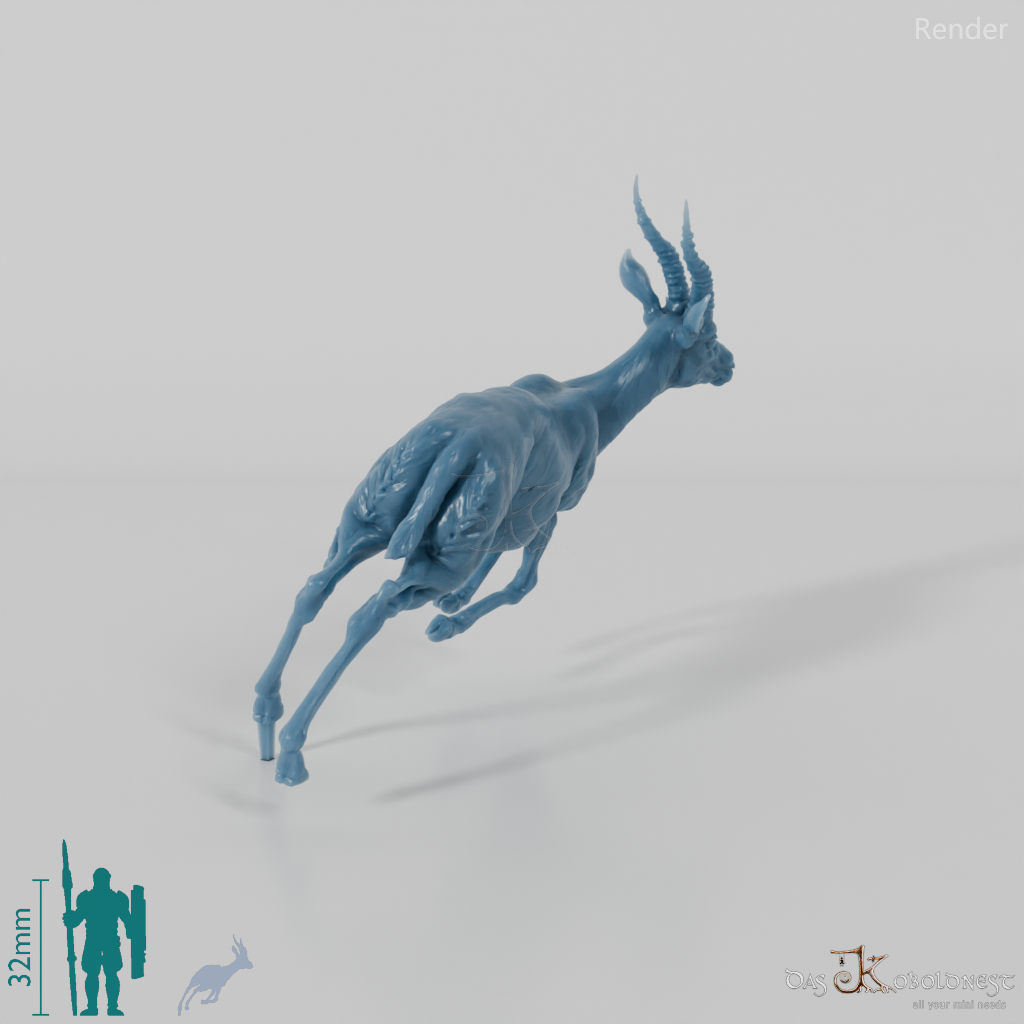 Antilope - Thomson-Gazelle 01