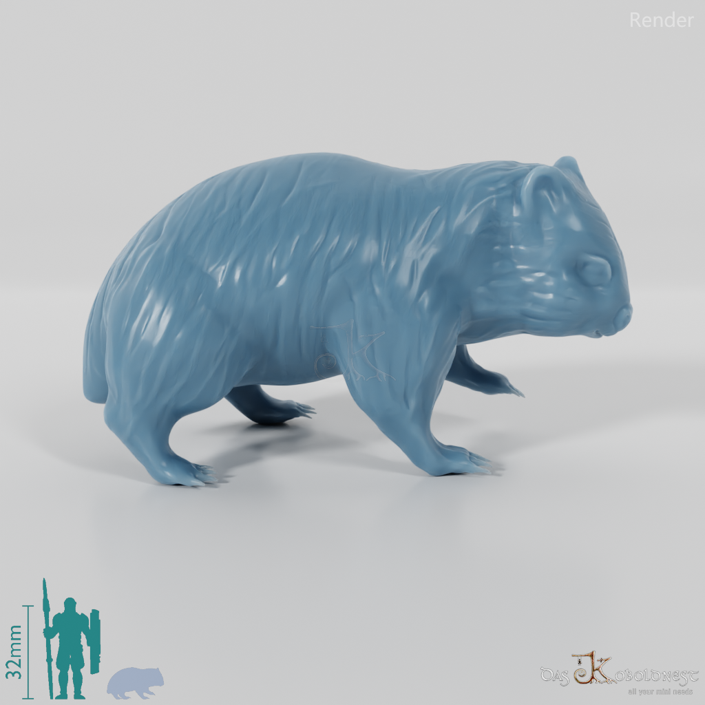 Wombat - Wombat 01