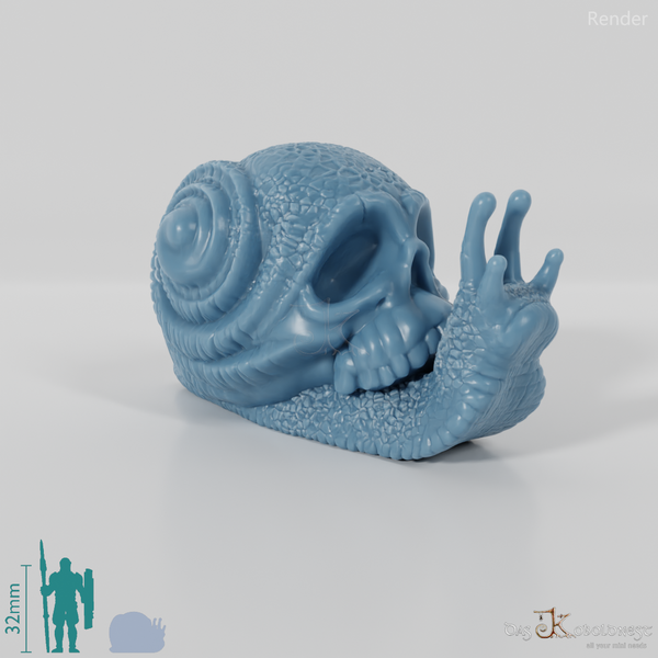 Schnecke - Schädelschnecke