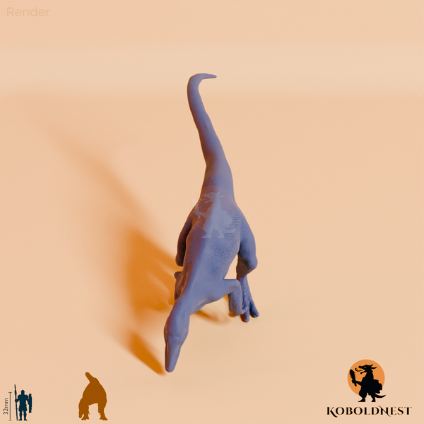 Aerosteron riocoloradensis 06 - JJP